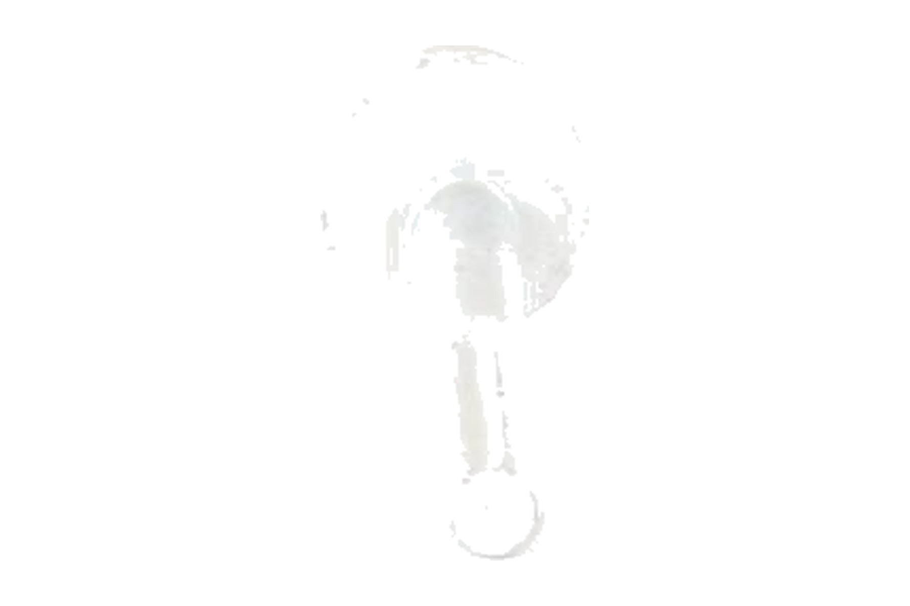 Parafuso VW WHT001833 - Imagem 7