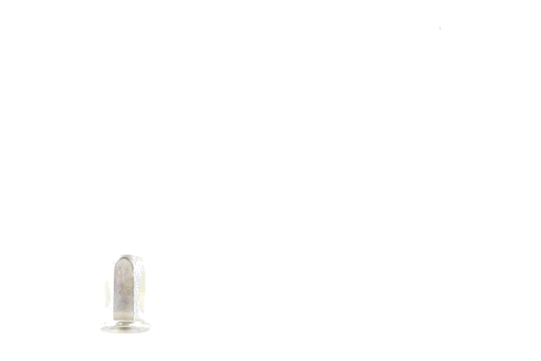 Porca Rebite VW WHT002473A - Imagem 2