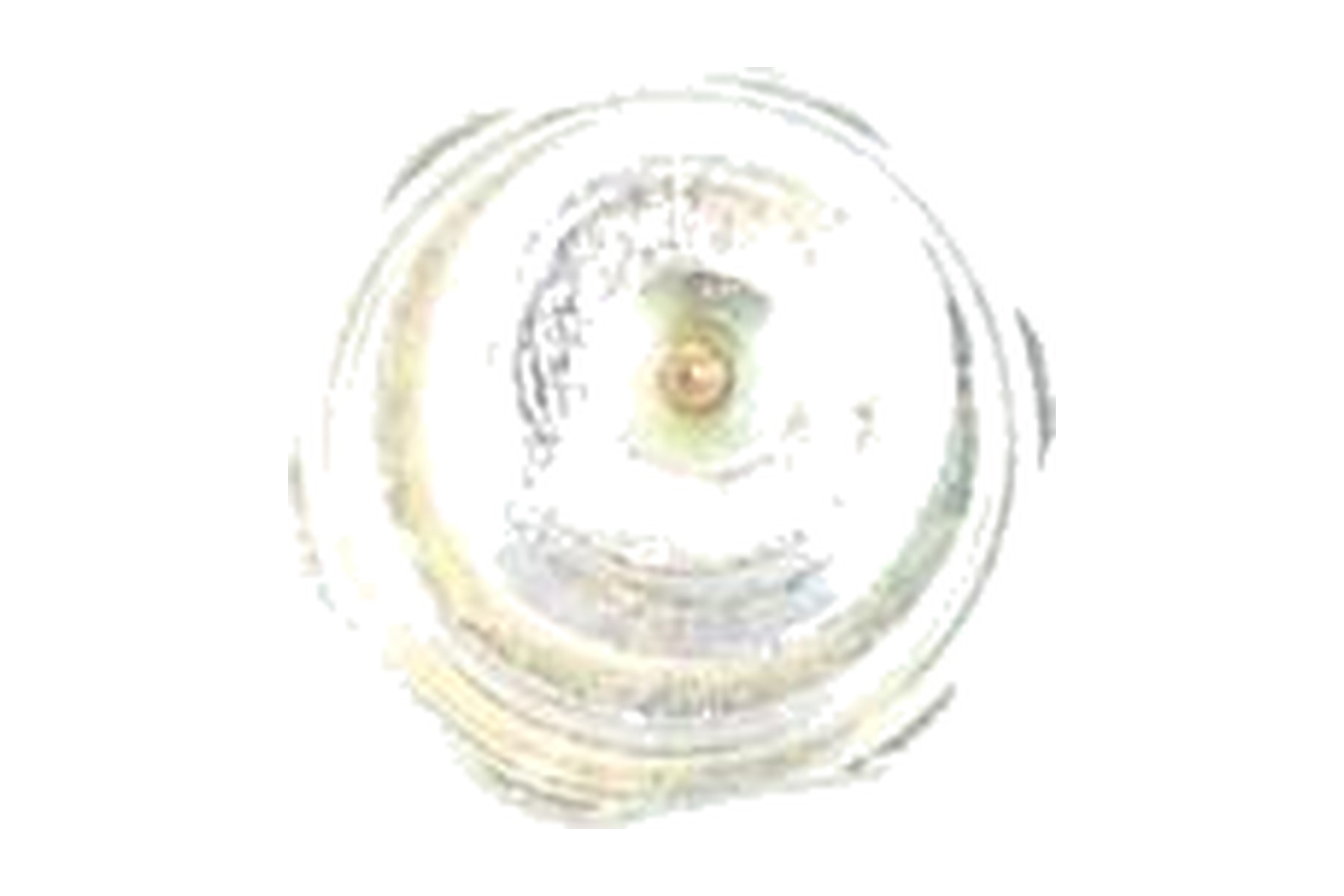 Parafuso de Ajuste de Cinto de Segurança VW WHT001279 - Imagem 4