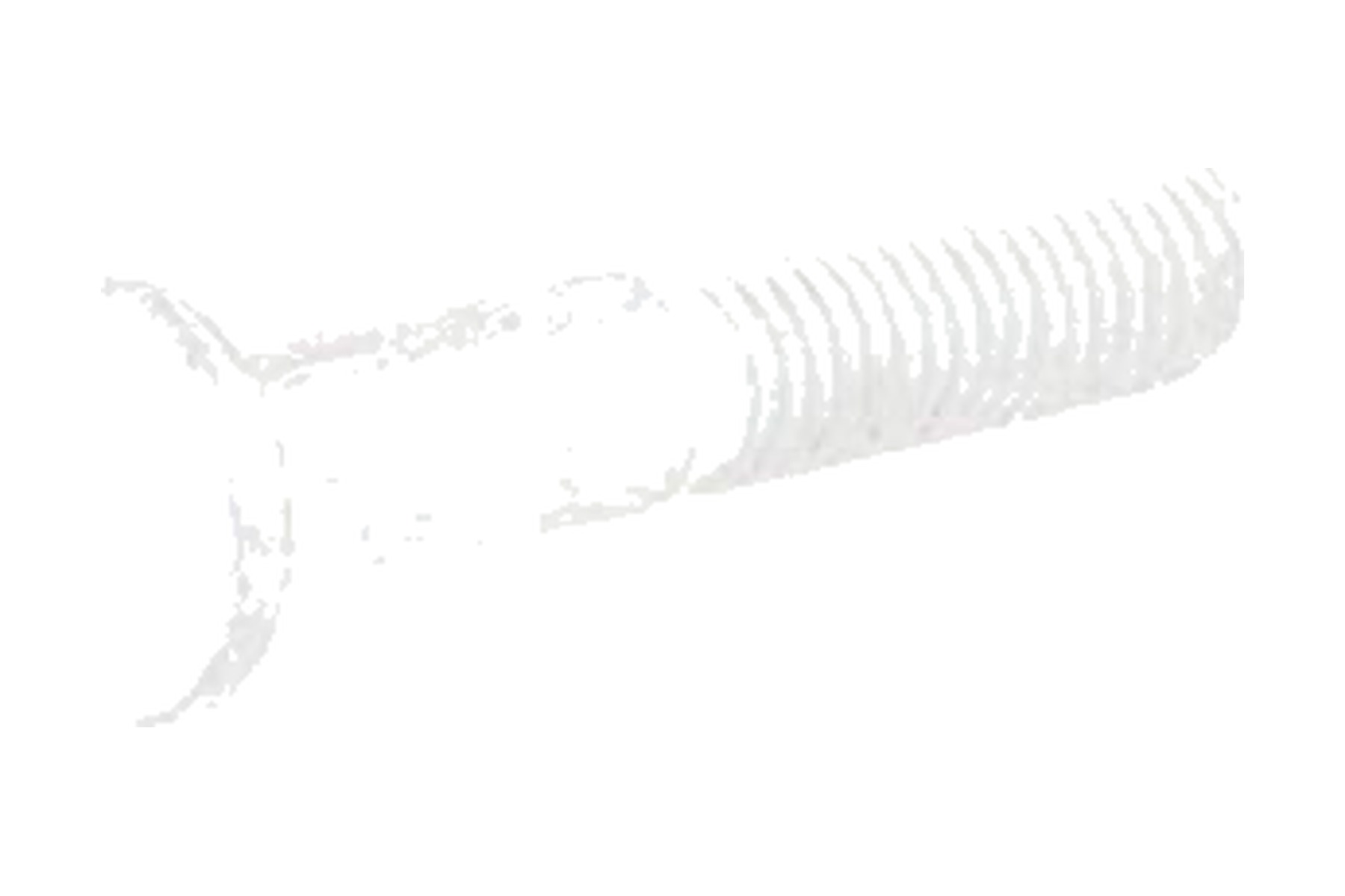 Parafuso VW WHT000226 - Imagem 10