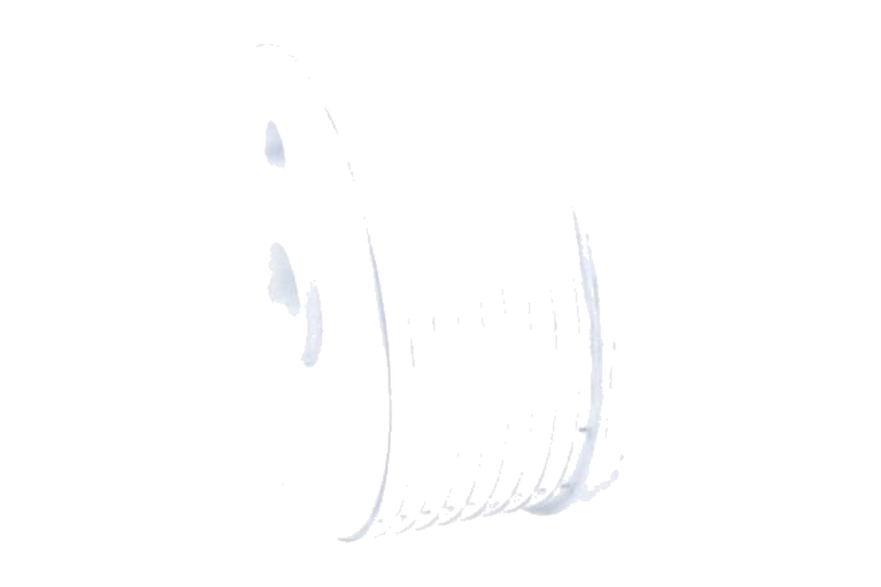 Resfriador VW 09G409061 - Imagem 5