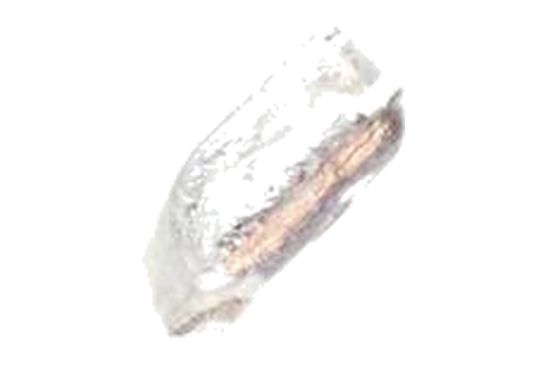 Peso VW 311601182 - Imagem 4
